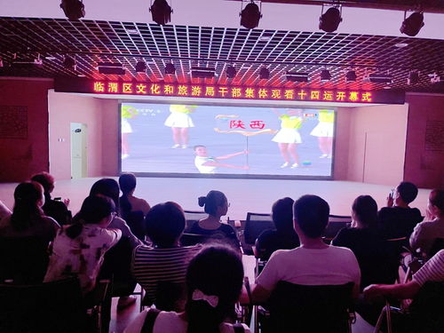 臨渭區文化和旅游局 觀十四運盛會開幕 展文旅融合新風采